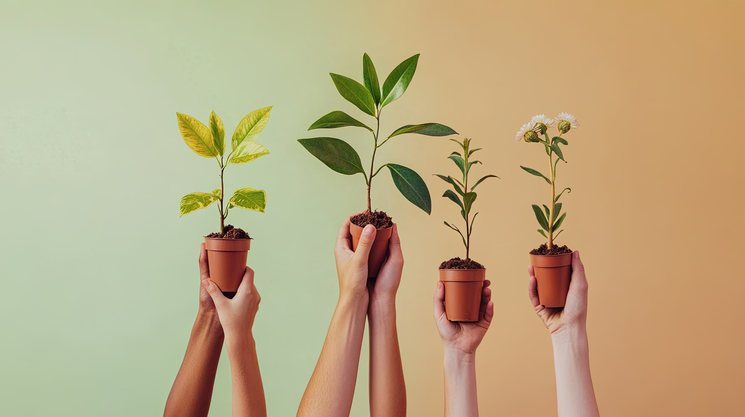 mãos jovens levantando juntas uma planta em crescimento, simbolizando o desenvolvimento pessoal e social proporcionado pelo voluntariado juvenil. A planta florescendo representa o impacto positivo dos esforços coletivos e o crescimento que o voluntariado traz tanto para os jovens quanto para a comunidade.